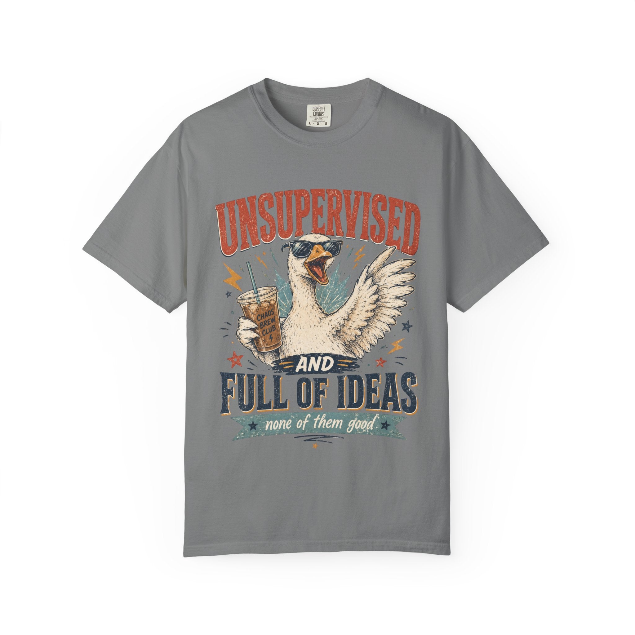 Unsupervised & Full of Ideas Duck Graphic T-Shirt