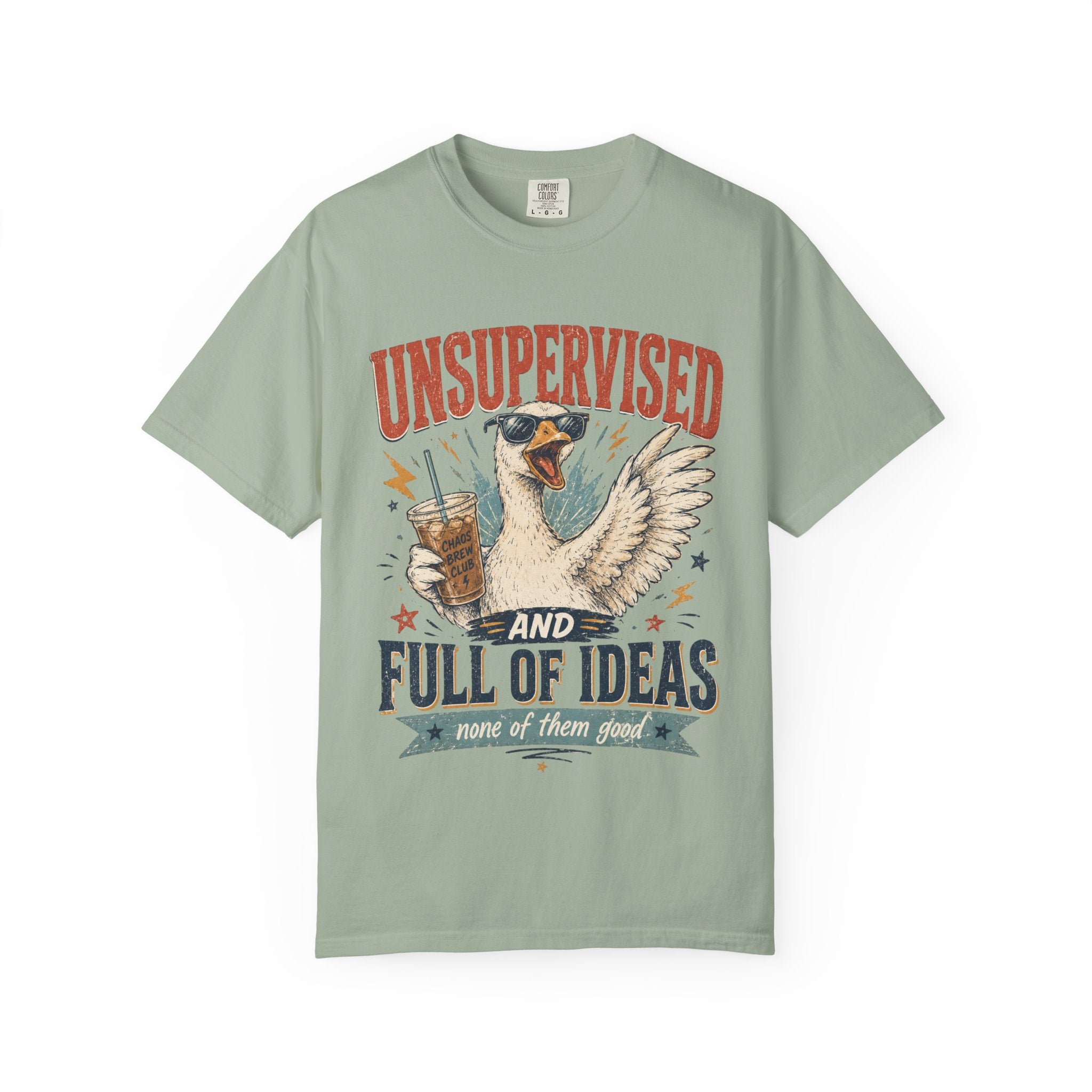 Unsupervised & Full of Ideas Duck Graphic T-Shirt