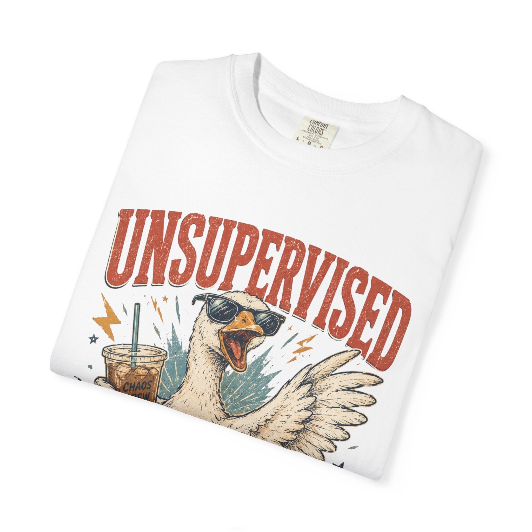 Unsupervised & Full of Ideas Duck Graphic T-Shirt