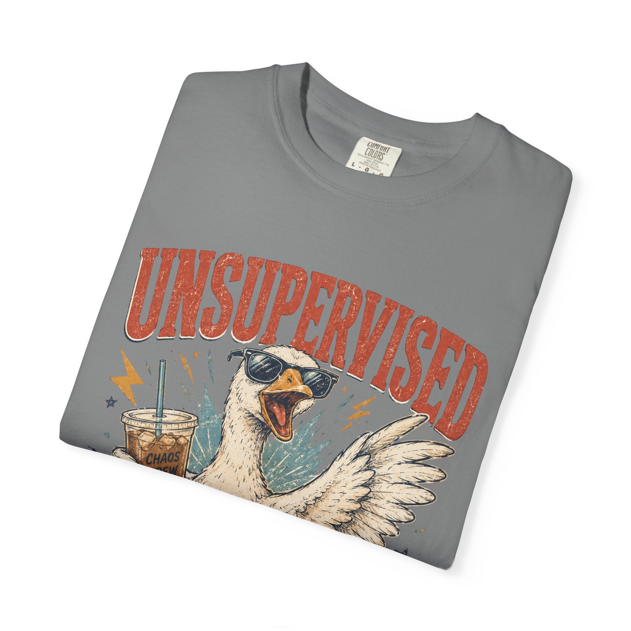Unsupervised & Full of Ideas Duck Graphic T-Shirt