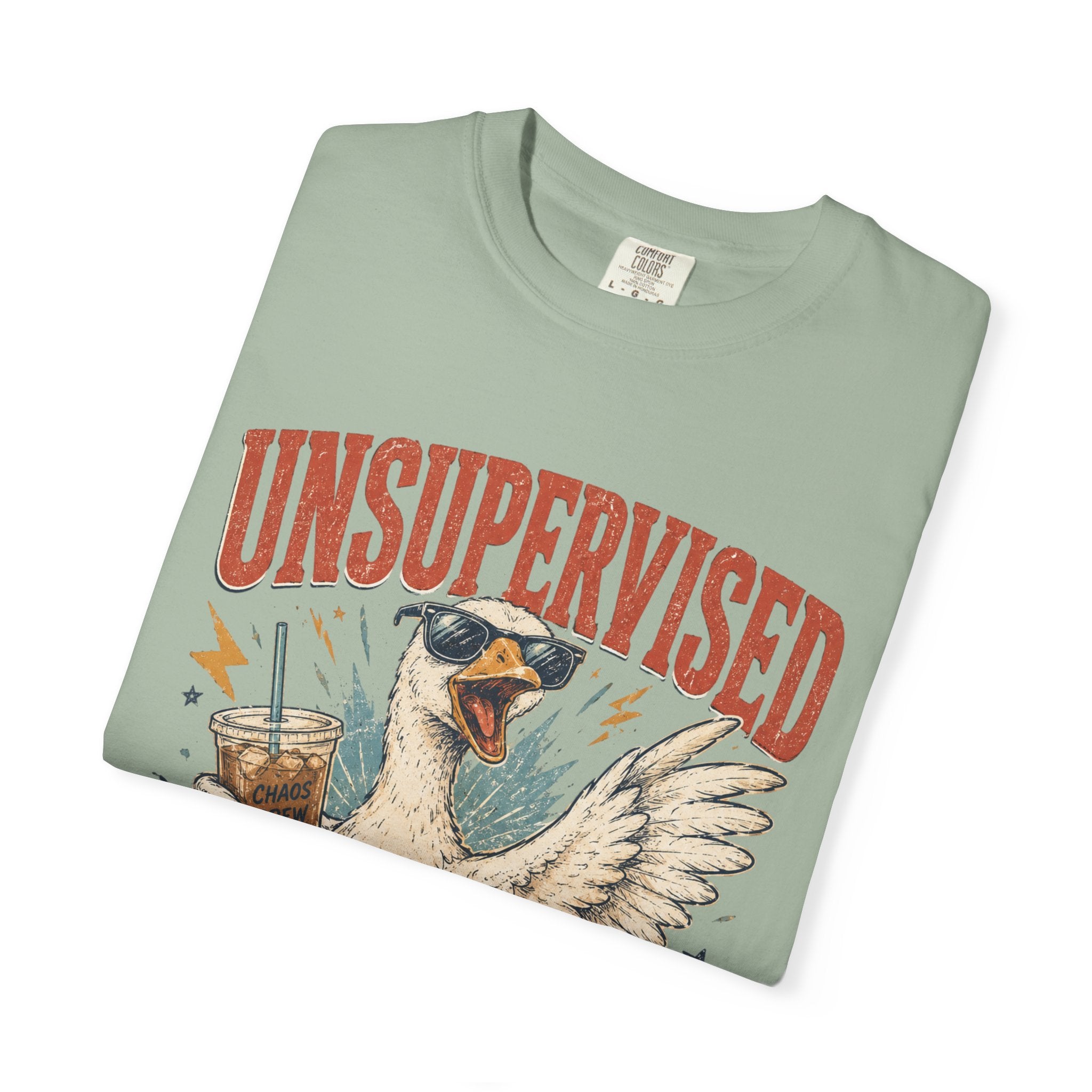 Unsupervised & Full of Ideas Duck Graphic T-Shirt