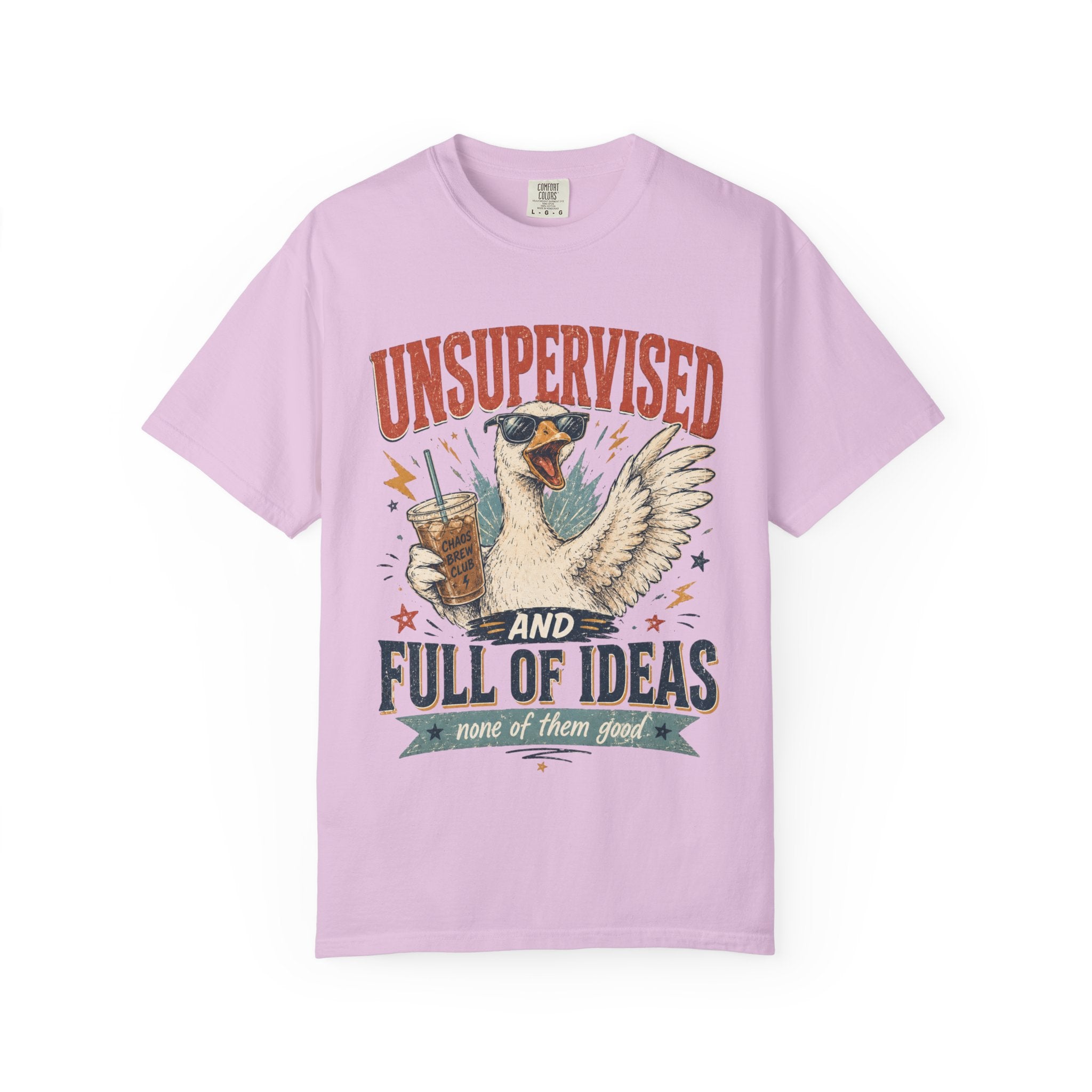 Unsupervised & Full of Ideas Duck Graphic T-Shirt
