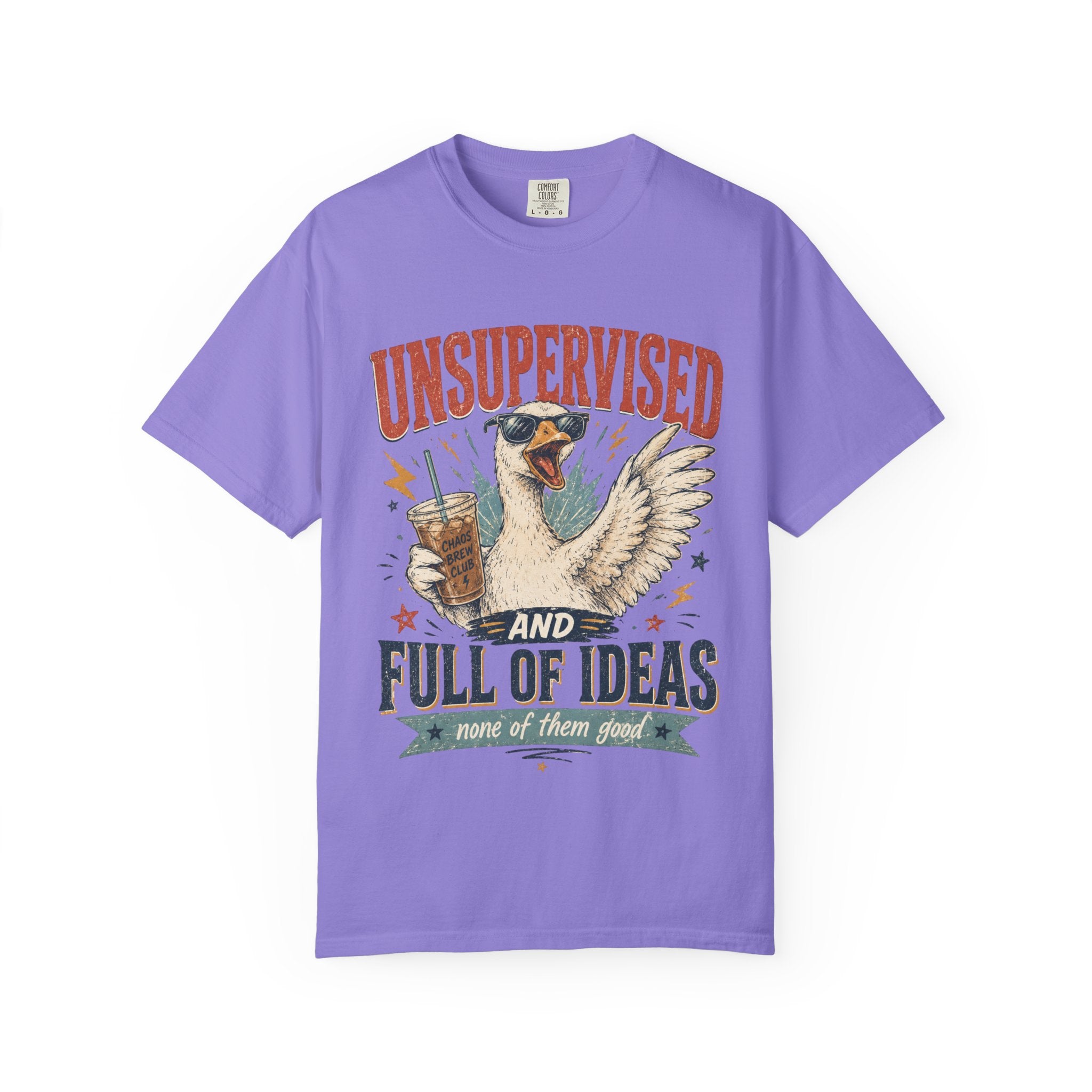 Unsupervised & Full of Ideas Duck Graphic T-Shirt