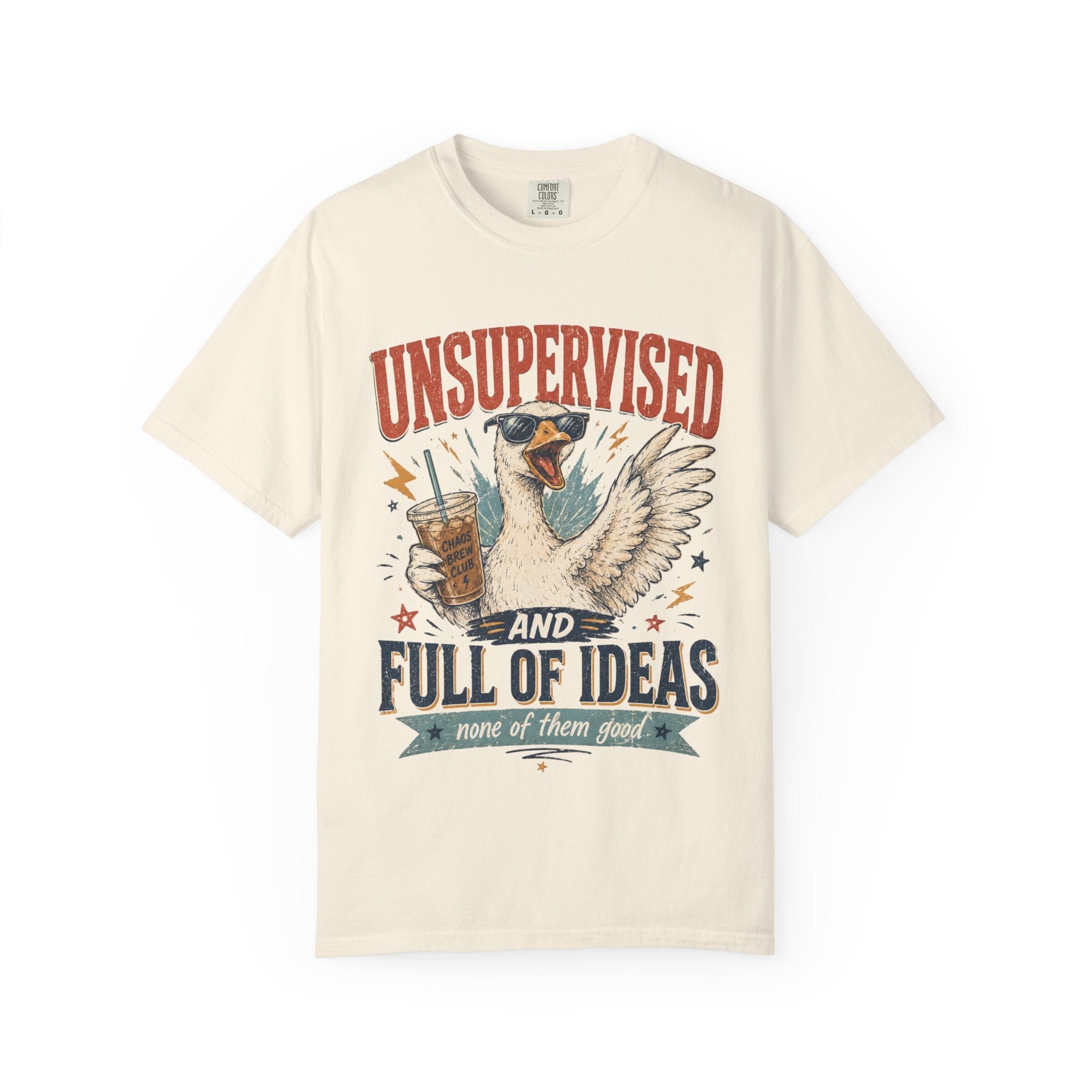 Unsupervised & Full of Ideas Duck Graphic T-Shirt