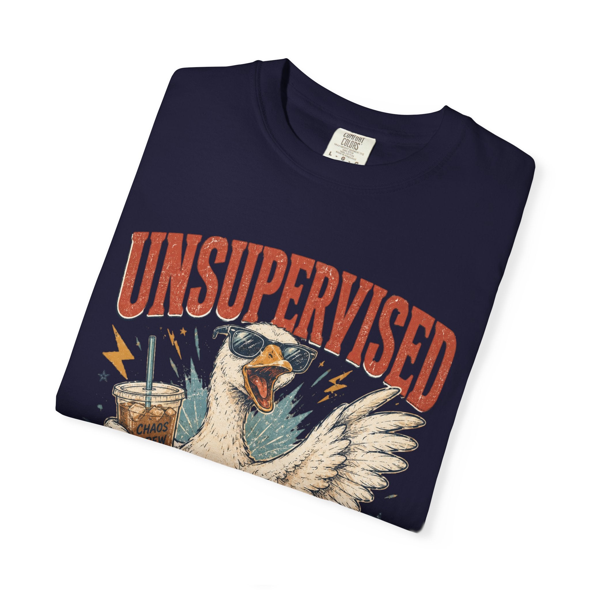Unsupervised & Full of Ideas Duck Graphic T-Shirt