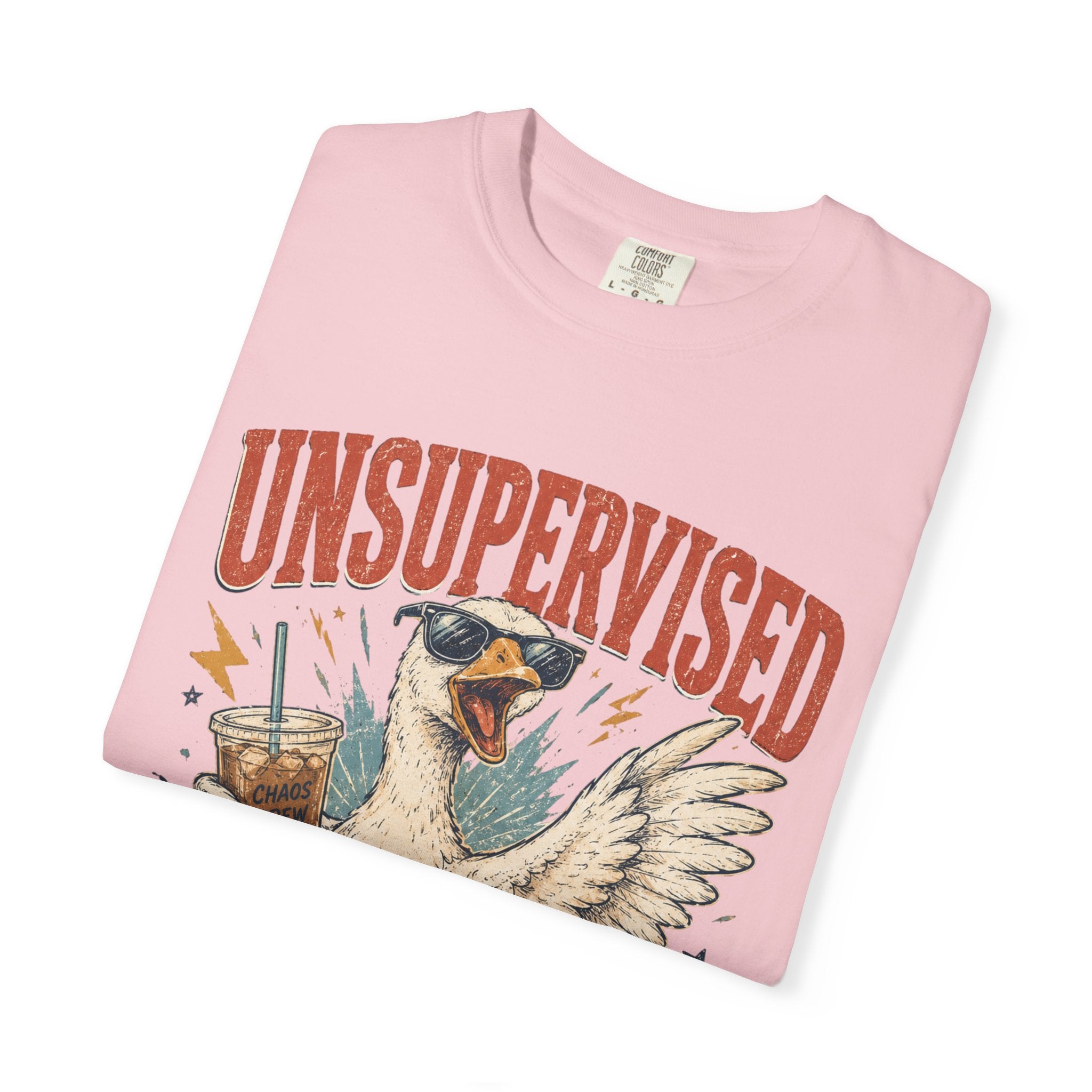 Unsupervised & Full of Ideas Duck Graphic T-Shirt