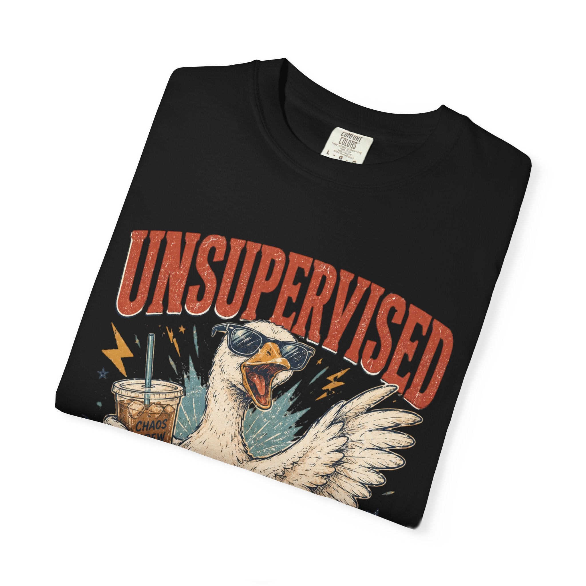 Unsupervised & Full of Ideas Duck Graphic T-Shirt