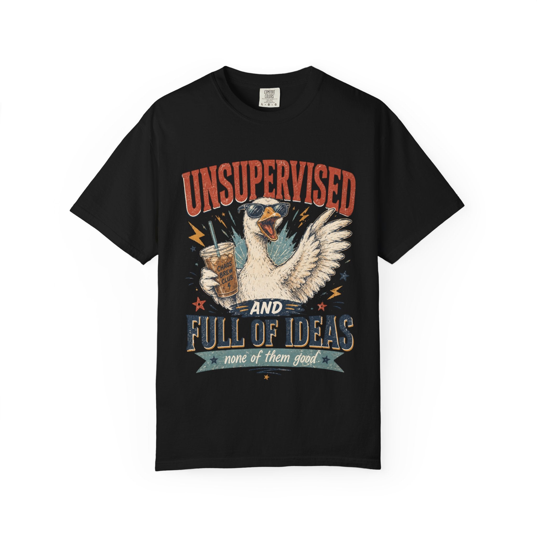 Unsupervised & Full of Ideas Duck Graphic T-Shirt