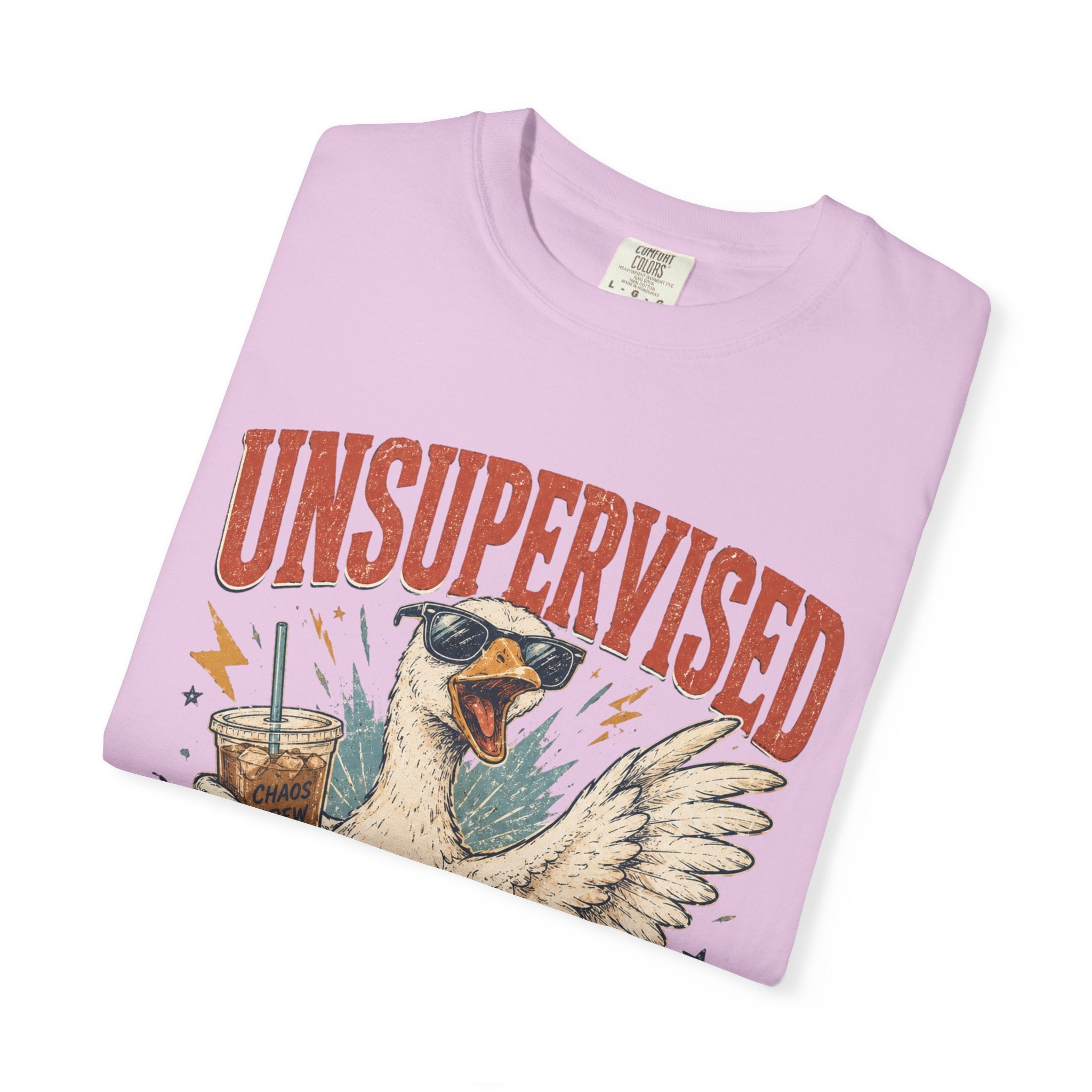 Unsupervised & Full of Ideas Duck Graphic T-Shirt
