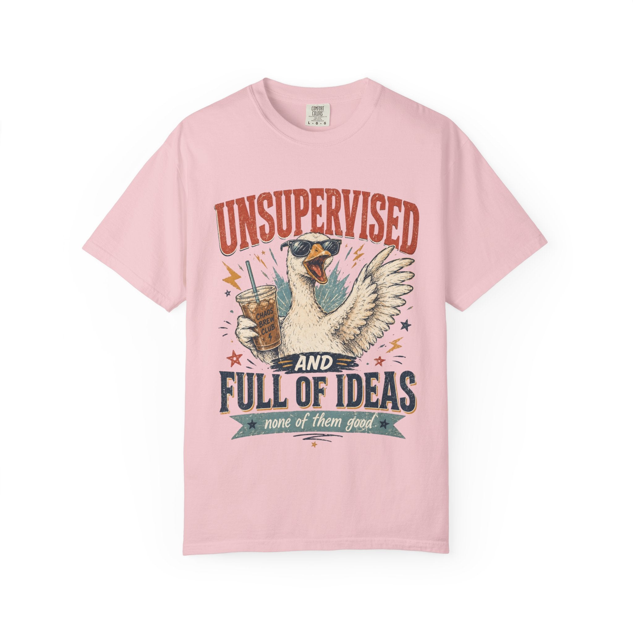 Unsupervised & Full of Ideas Duck Graphic T-Shirt